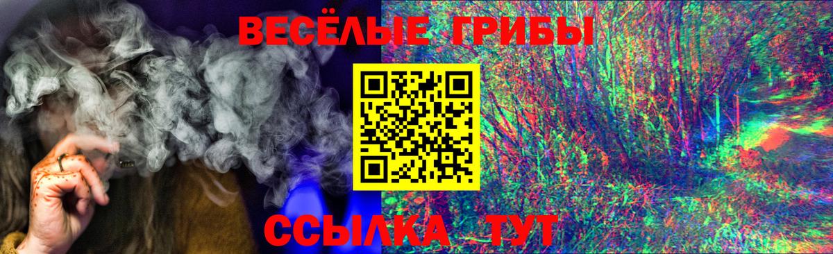 Галлюциногенные грибы Magic Shrooms  Галлюциногенные грибы Psilocybe  купить   Вход с VPN  Дедовск 