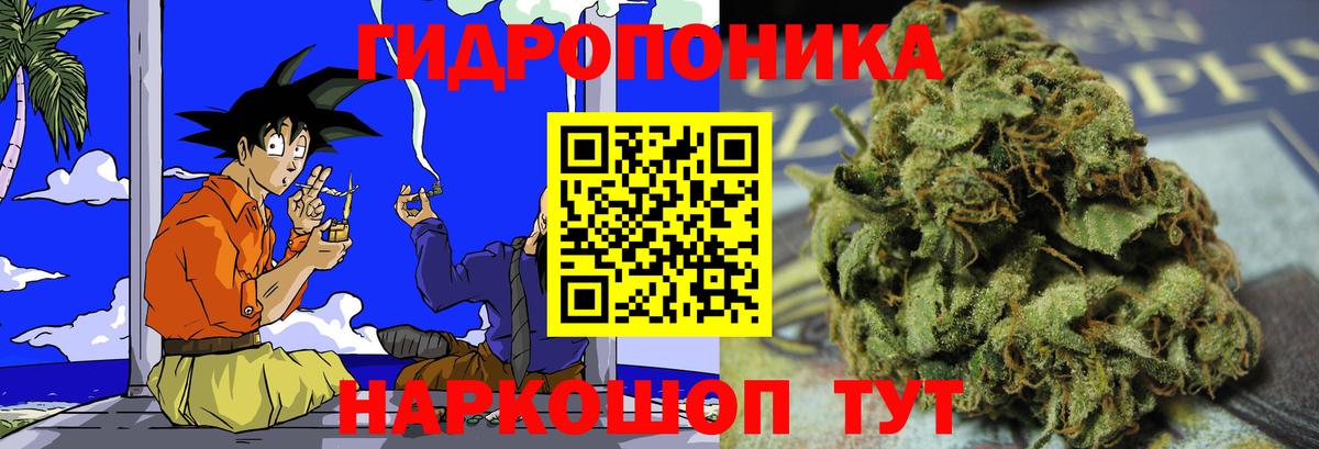 Каннабис планчик Дедовск